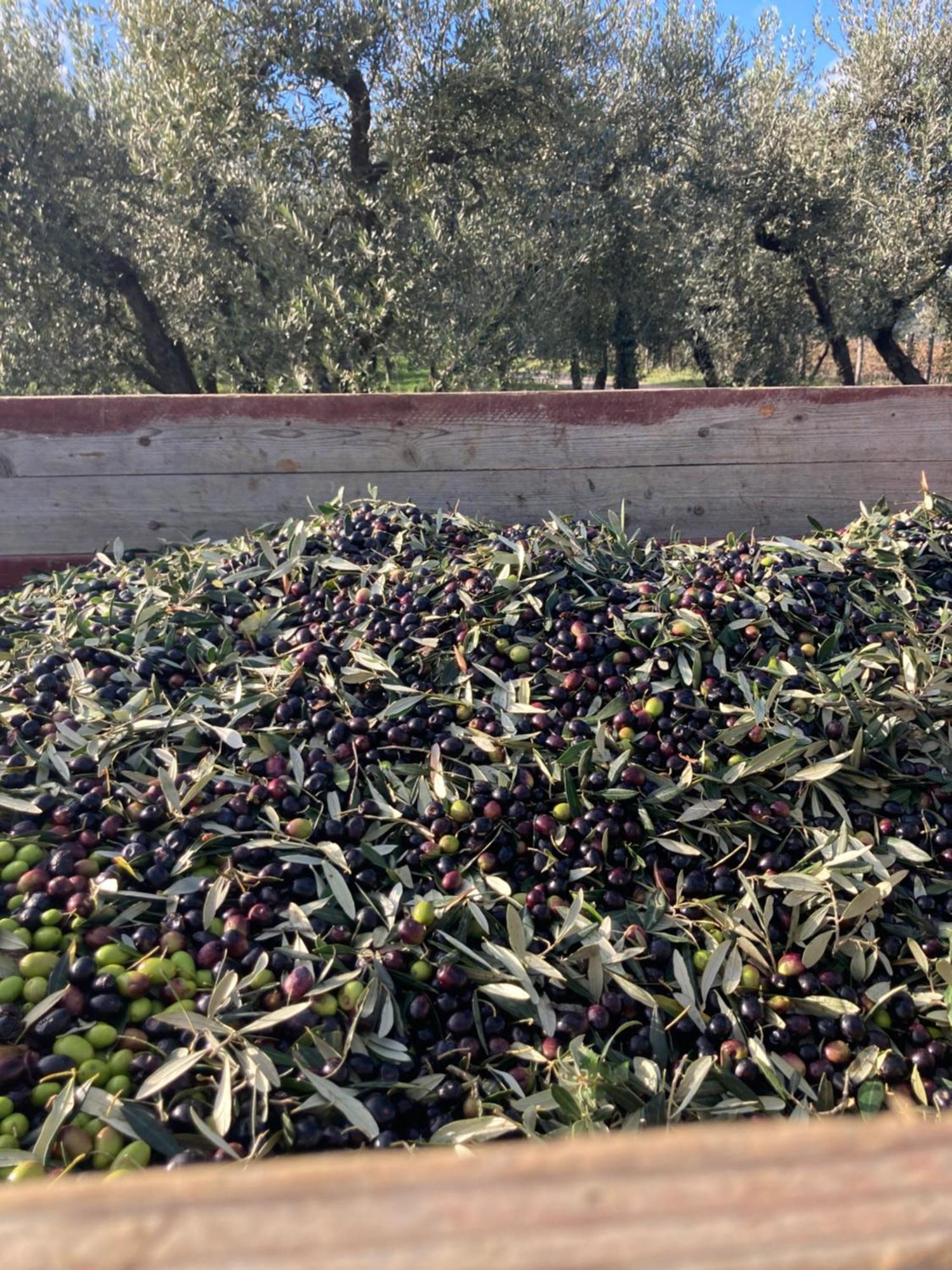 פייגלין ולדרנו Podere San Giusto מראה חיצוני תמונה